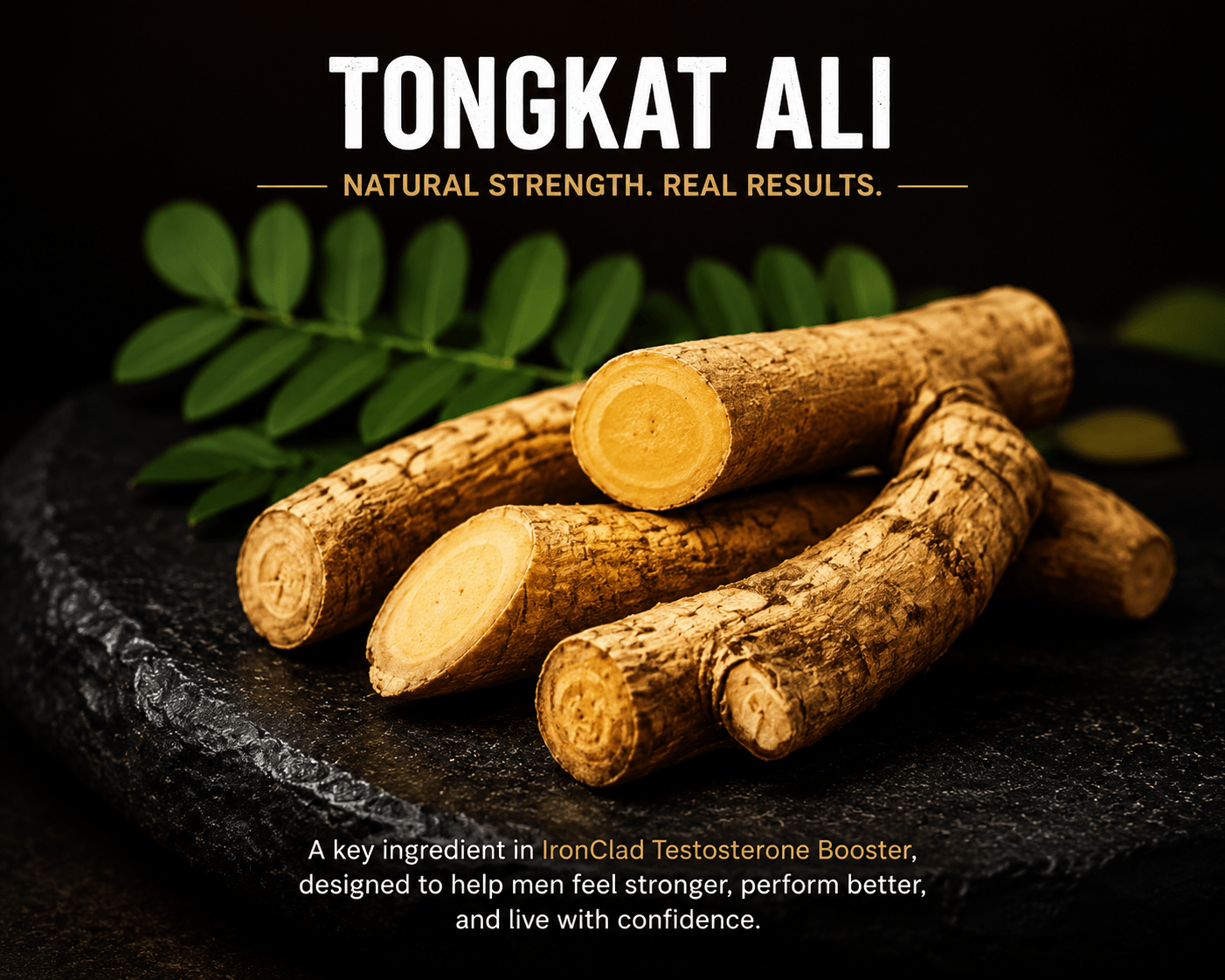 Tongkat Ali for Men: Benefits, Uses, and Why It Works - Ironclad Nutrition