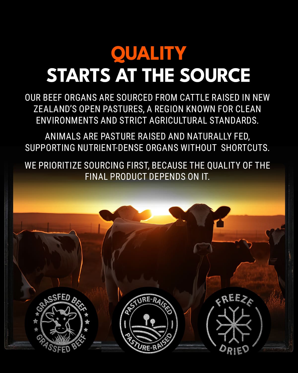 Grass fed New Zealand cattle sourcing for Ironclad Beef Organ Complex