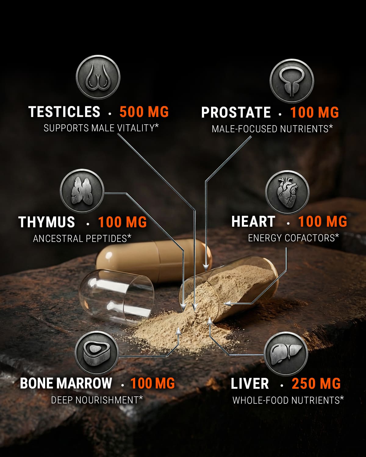 Ironclad Beef Organ Complex formula showing liver, heart, bone marrow, thymus and testicles