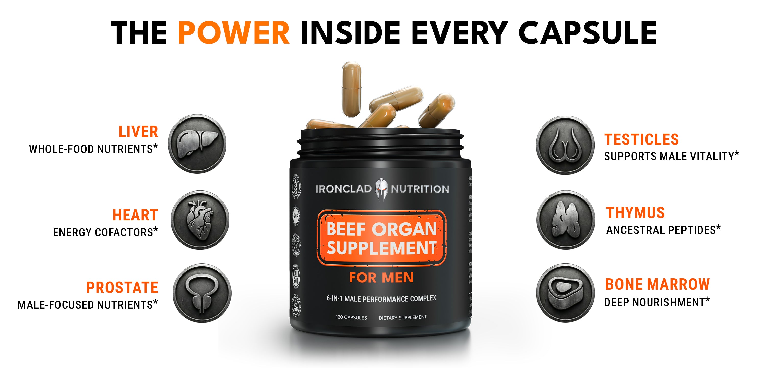 Ironclad Beef Organ Supplement showing all six organ ingredients inside capsule