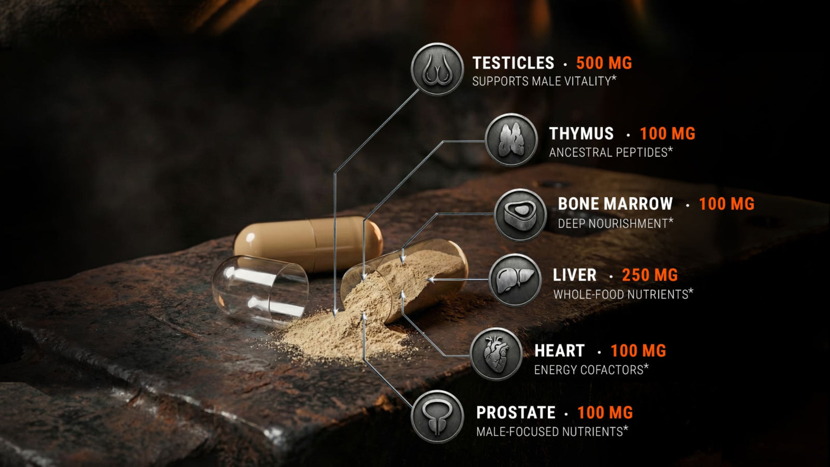 Ironclad Beef Organ Complex formula showing liver, heart, bone marrow, thymus and testicles