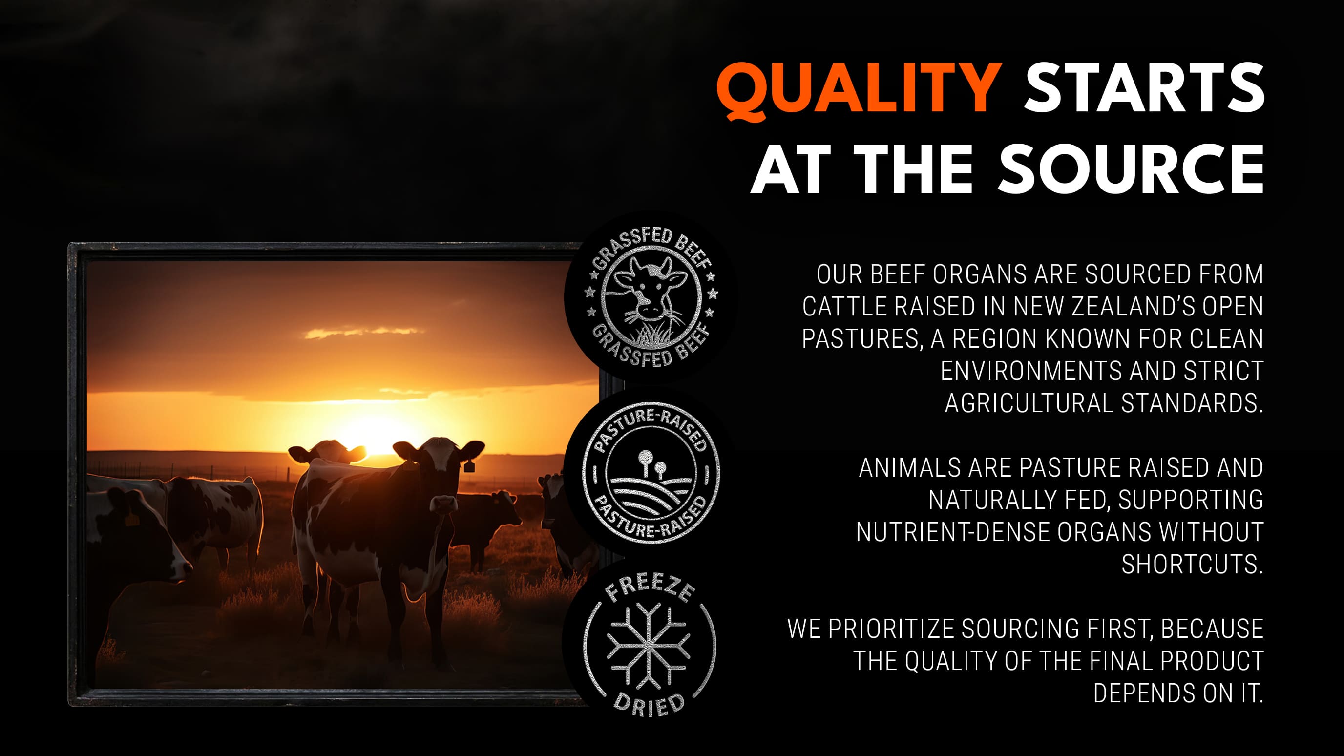 Grass fed New Zealand cattle sourcing for Ironclad Beef Organ Complex