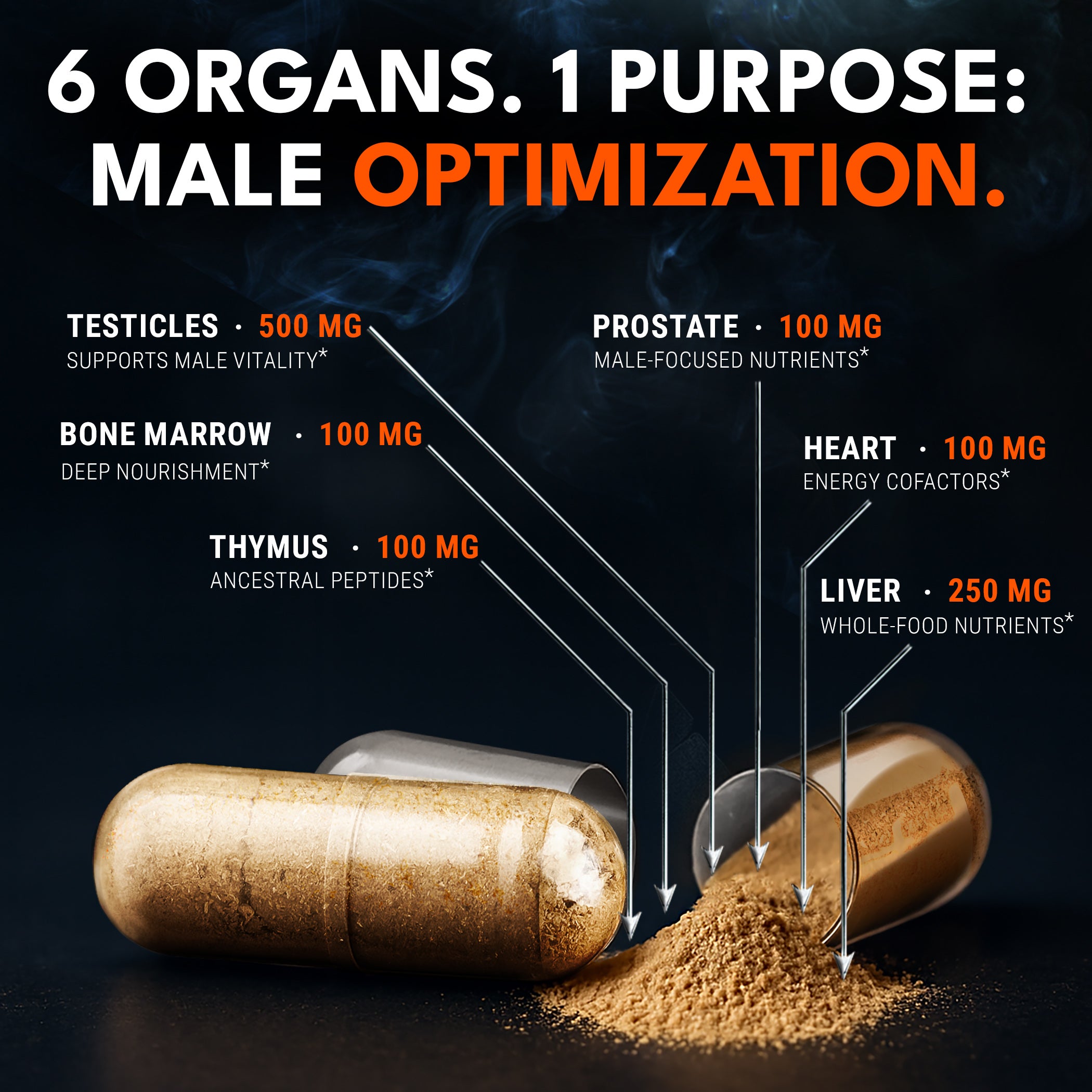 Ironclad Beef Organ Supplement capsule with organ ingredient breakdown