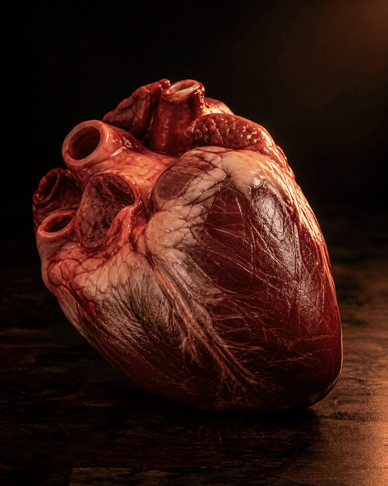 Grass-Fed Heart